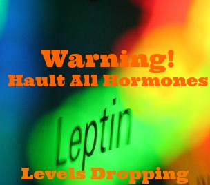 leptin3
