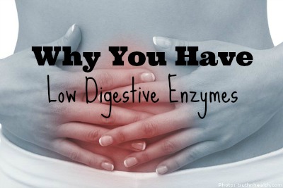 b2b124beed9214cb4552f3ce179d70d6-digestion-problem