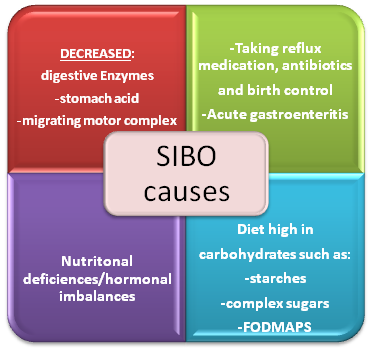 sibo-causes